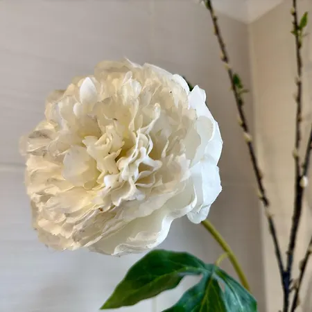 Lejlighed Goldene Linie Schillig