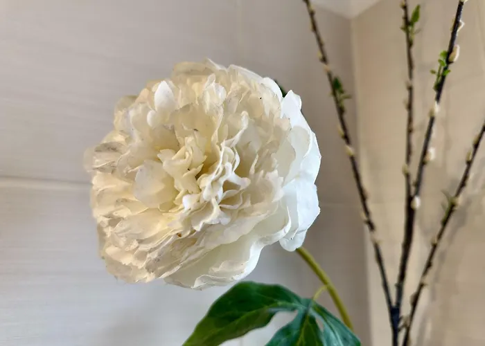 Apartman Goldene Linie Schillig